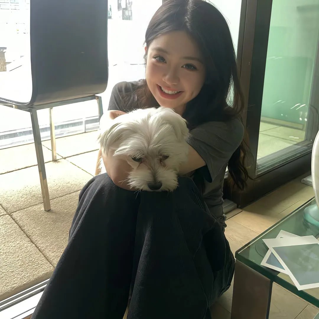 傅影帝天天想官宣